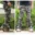 Airborne Vintage Cotton Cargo Pants 9